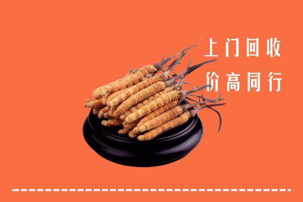 高价求购：楚雄州元谋回收散虫草