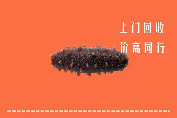 高价求购：楚雄州元谋回收海参