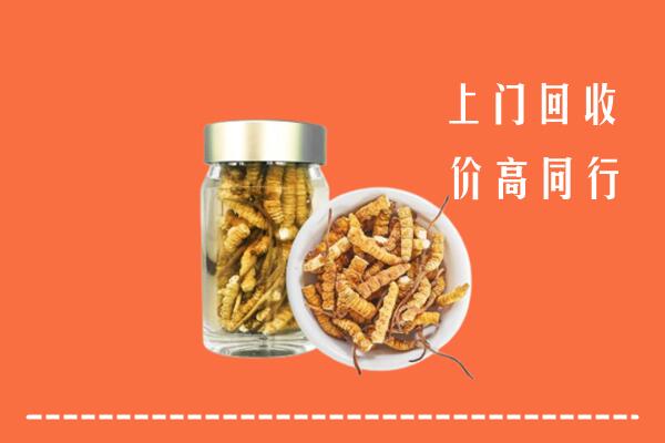 楚雄州元谋回收冬虫夏草
