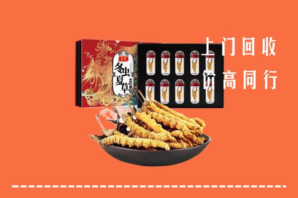 楚雄州元谋回收虫草